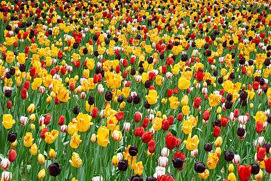 《无名九使：觉醒》概述预告片 详细介绍游戏内容