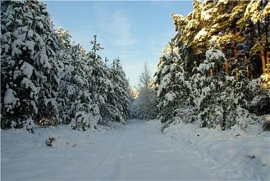 《暗邪西部》怪物Leecher预告 11月22日发售