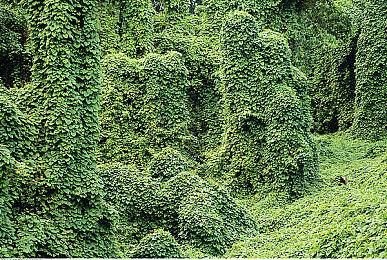 《幻想生活i：转圈圈的龙和偷取时间的少女》新预告